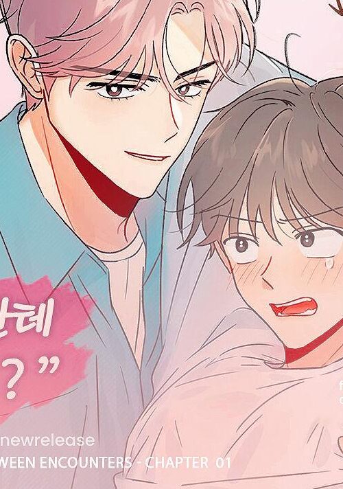 Encounter Relationship Bl Yaoi Smut Manhwa Adult Orchisasia Org